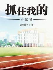 抓住我的手简谱