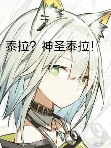泰拉神圣锭
