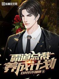 霸道总裁养成记电视剧
