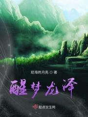 醒梦 陈龙