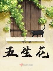 五生花胶囊月经期可以用吗