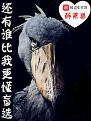 还有谁比你更爱我