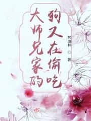 大师兄家里发生什么变故