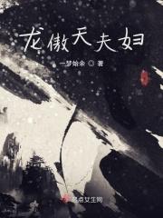 龙傲天结局