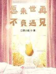 愿来生不再相遇17章