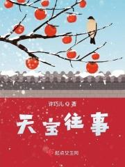 天宝视频