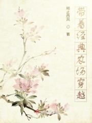 带着农场穿年代文无弹窗