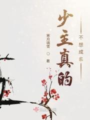 少主是什么身份