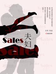 sales夫妇电视剧