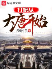 大唐从状元到宰相爱看书吧