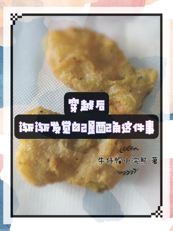 穿越后遇到自己