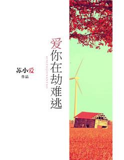 主角是卫宫士郎