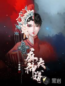 天降神婿陈黄皮全部