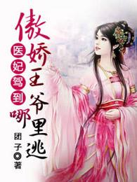 傲娇王爷医妃扶上榻免费阅读