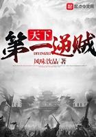 天下第一盗贼