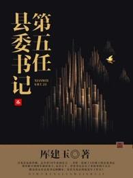 2005年县委书记
