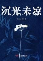 沉光未凉笔趣阁