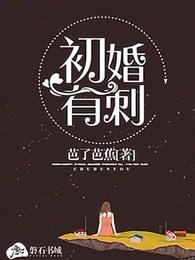 初婚有刺第二部叫什么