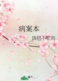 病案本 肉包不吃肉