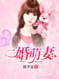 婚宠二婚妻