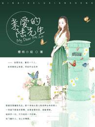 亲爱的陆先生百科