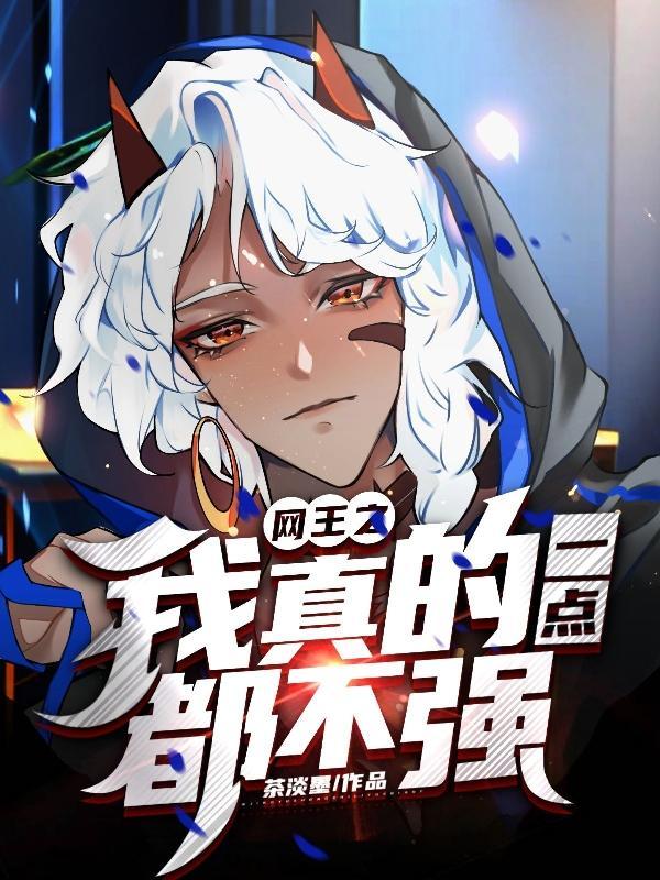 网王之我是真田弦一郎