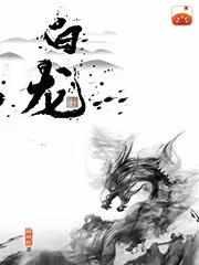 白龙马歌曲