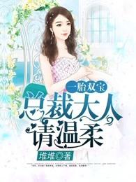 一胎双宝总裁大人请温柔 完结+番外免费阅读