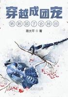 穿成团宠娇女我