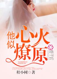 他心似火燎原免费阅读