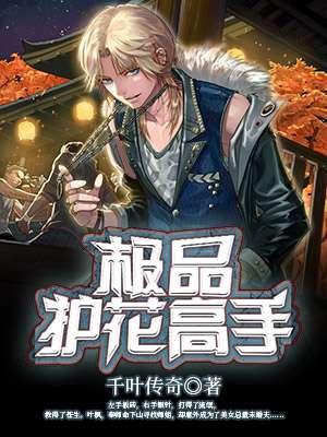 极品护花高手漫画全集