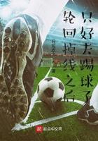 轮回掉线之后只好去踢球了txt