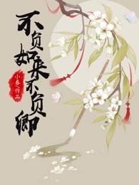 不负如来不负卿上一句