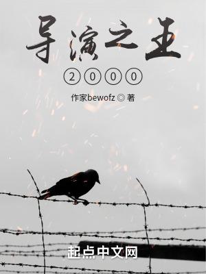 导演之王2000txt