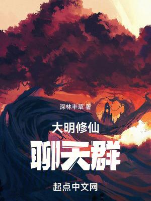 大明聊天群视频