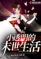 小透明的末世生活 笔趣阁