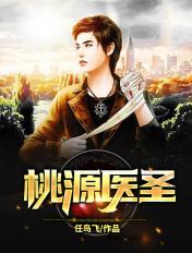 桃源医圣张大同