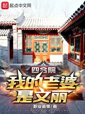 四合院我的老婆是文丽笔趣阁TXT