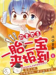 一胎二宝来报到完整版
