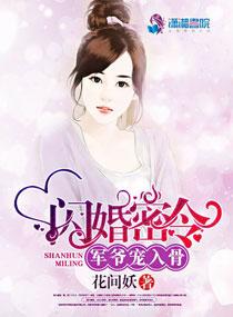 新婚全本免费阅读