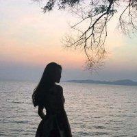 爹地找上门沐晴天