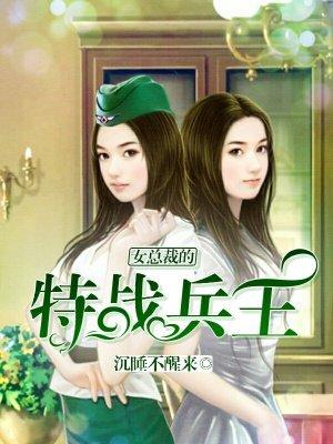 女总裁的特战兵王全文阅读