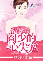 免费阅读名门掠婚