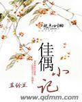 佳偶妙探全文免费阅读