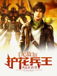 绝品护花兵王完整版阅读