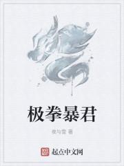 极拳暴君相似有哪些