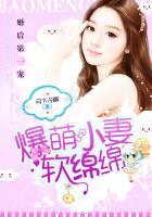 婚后蜜宠萌妻至上