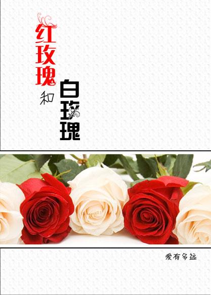 红玫瑰与白玫瑰全文阅读