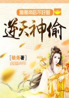 逆天神凰腹黑魔帝甩不掉txt