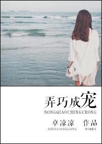 弄巧成拙txt